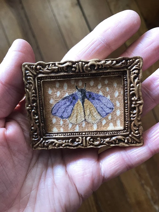 original miniature moth painting by Phoebe Stout