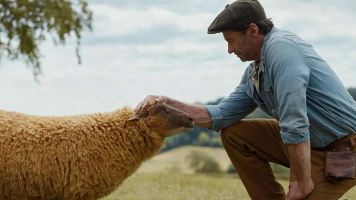 The Sheep Detectives