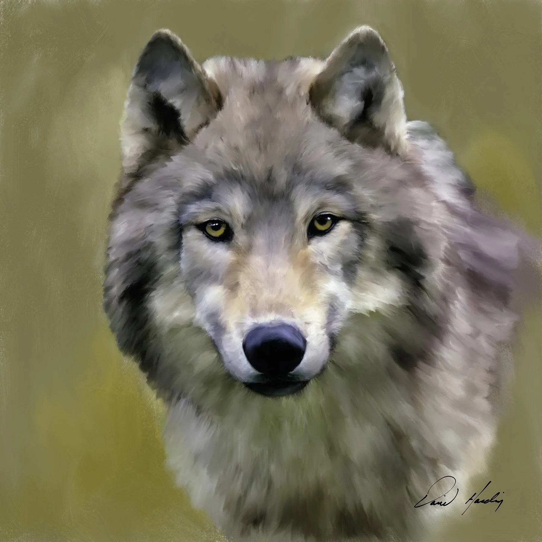 Wolf copy.jpg