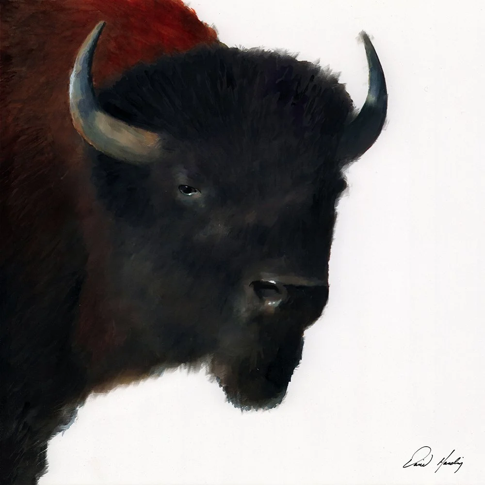 Tatanka Sqaure copy.jpg