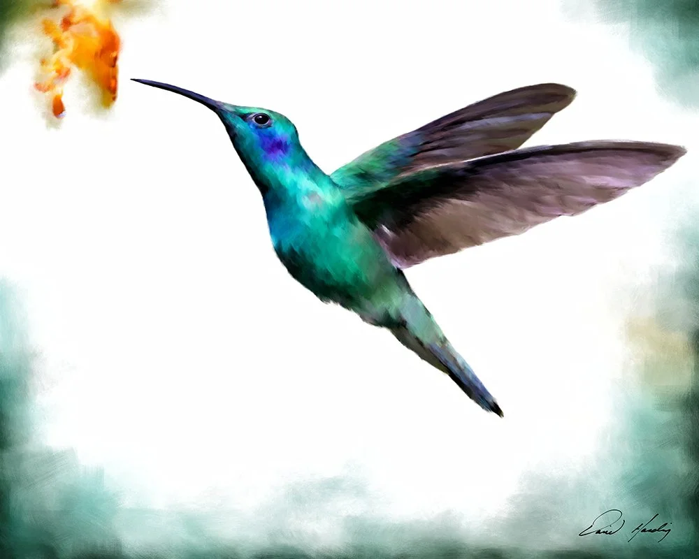 Hummer.jpg