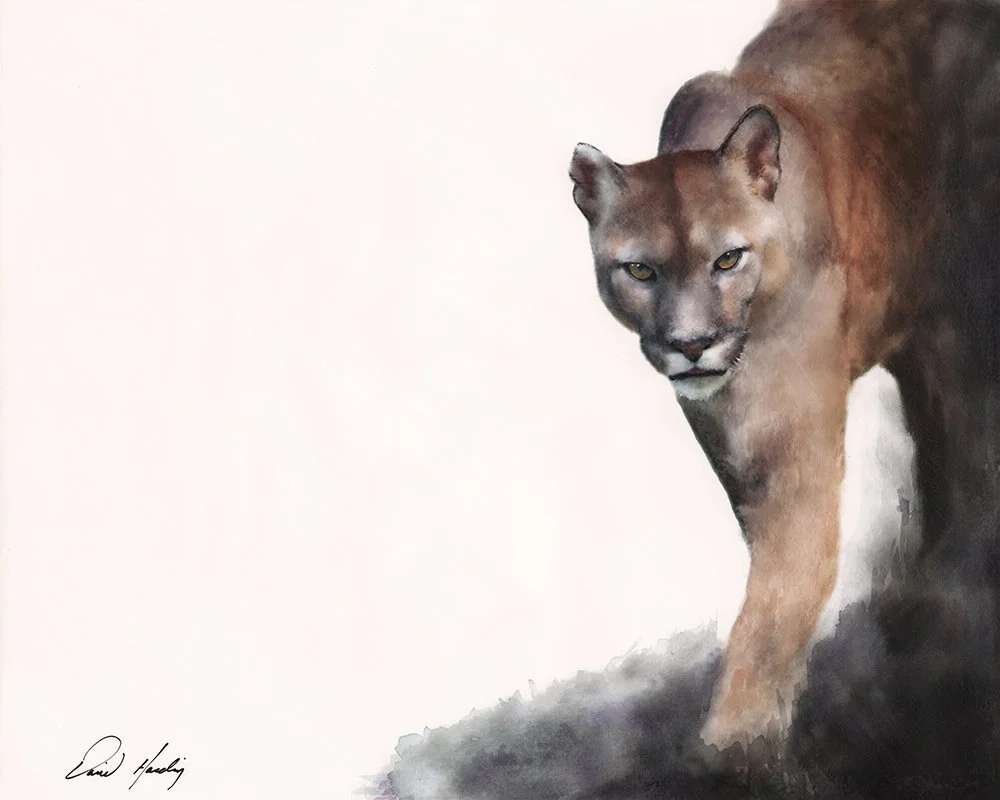 Lion.jpg