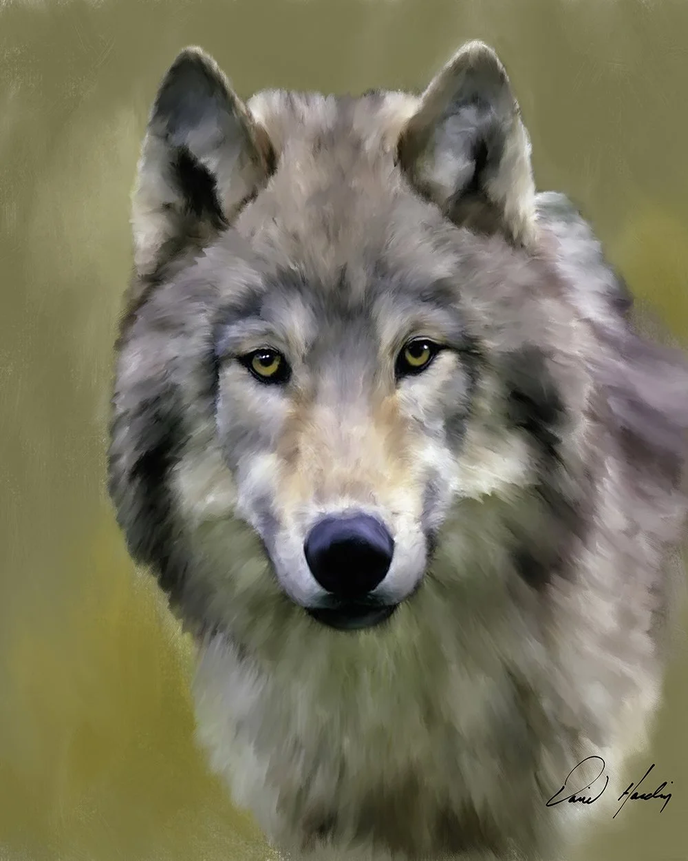 Wolf.jpg