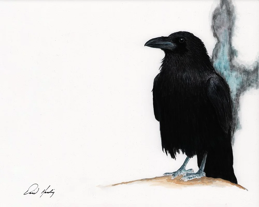 01 - Raven copy.jpg
