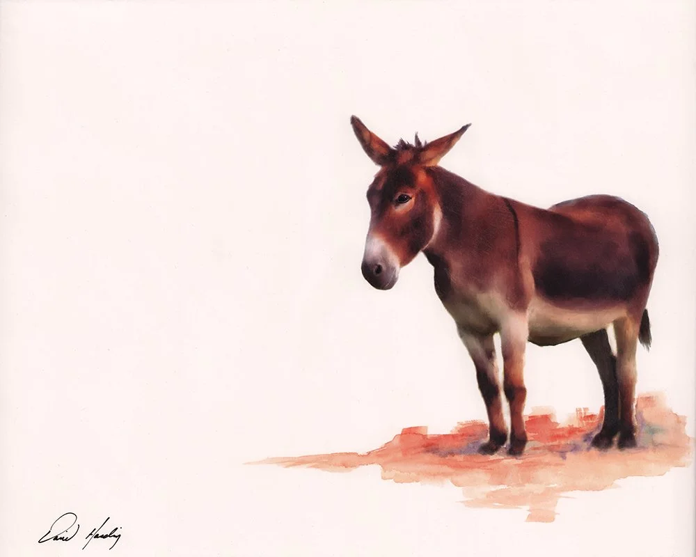 Burro.jpg