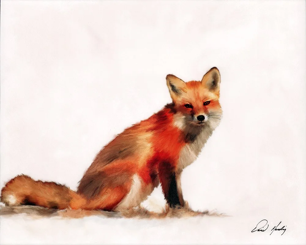 Fox.jpg