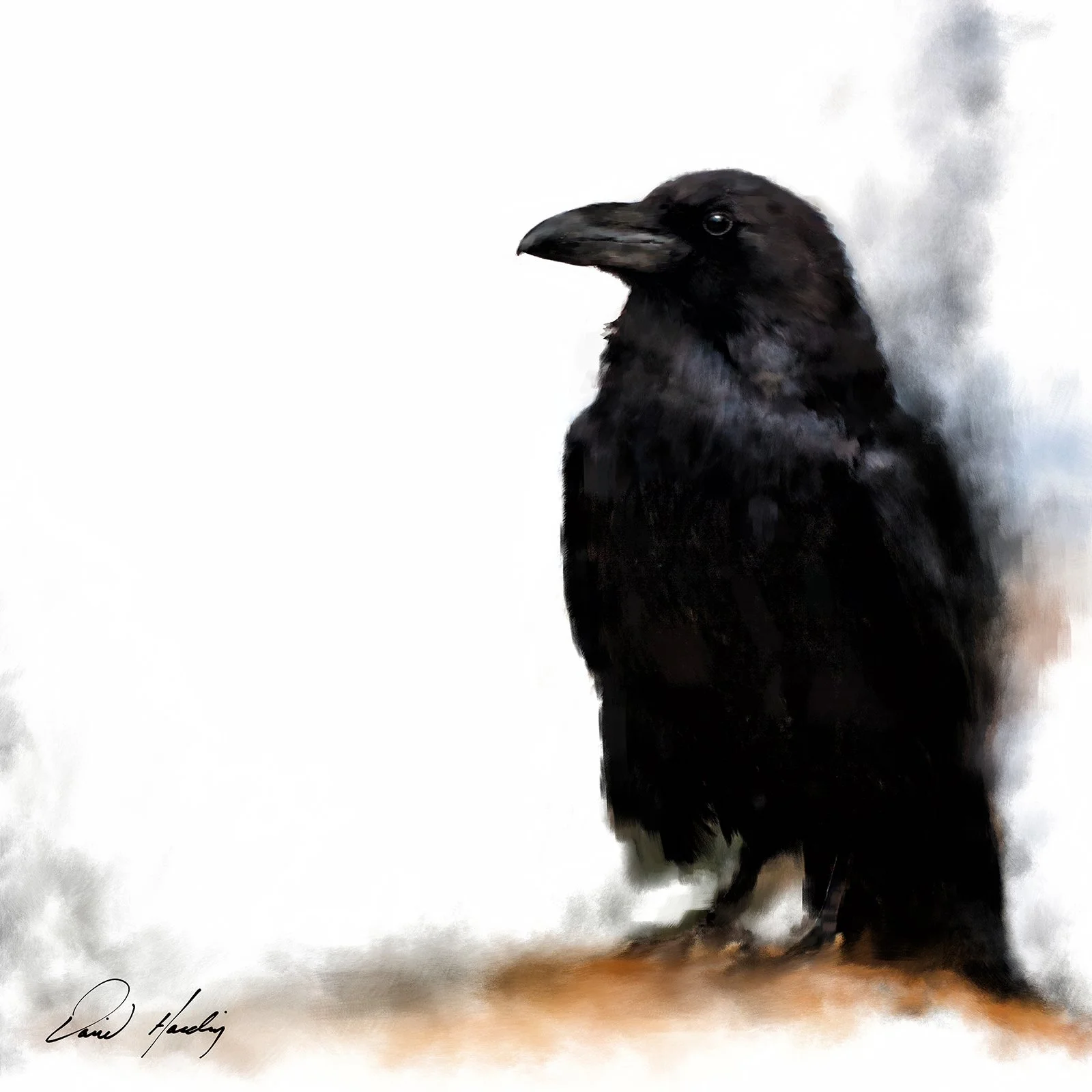 Nevermore.jpg