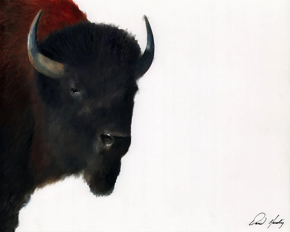 06 - Tatanka copy 2.jpg
