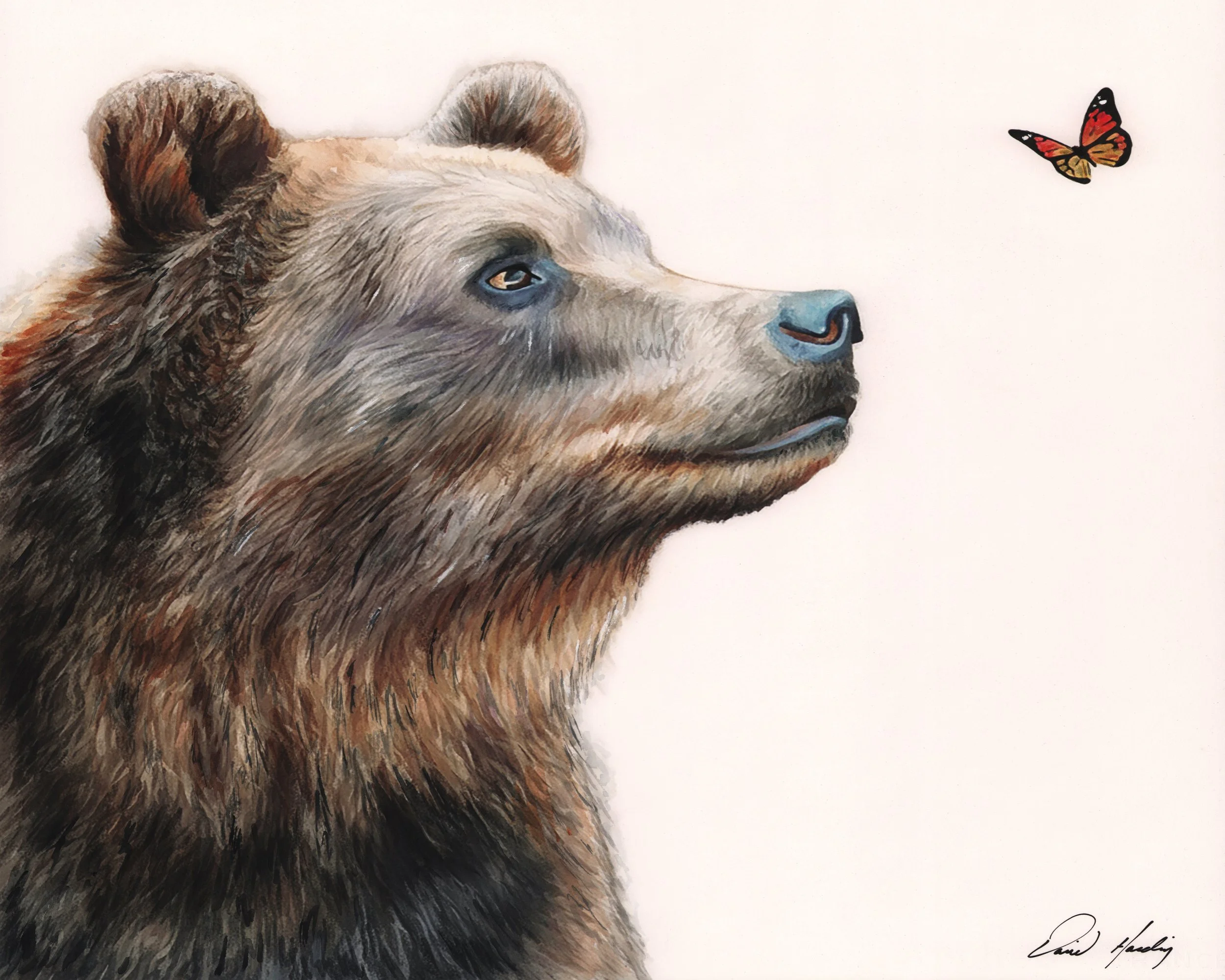 19 - Curiousity copy.jpg