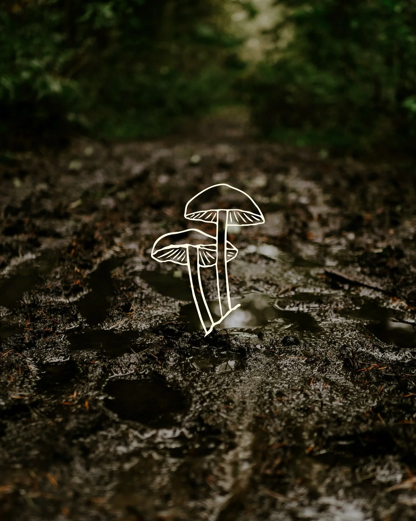 Just over here manifesting an early spring 🌱🍄

&bull;

#mainebranddesigner #maine #illustration #springillustration #mainegraphicdesigner