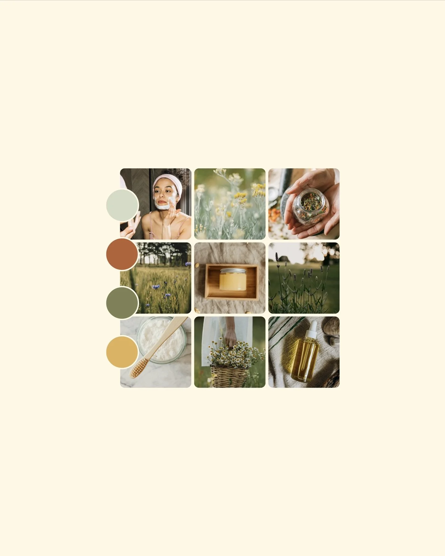 Mood board for a project I&rsquo;m currently working on🌱

This one&rsquo;s been re-sparking a fresh level of creativity for me lately, and it&rsquo;s been exactly what I needed!!

So excited to share more soon😍

&bull;

#mainebranddesigner #maine #