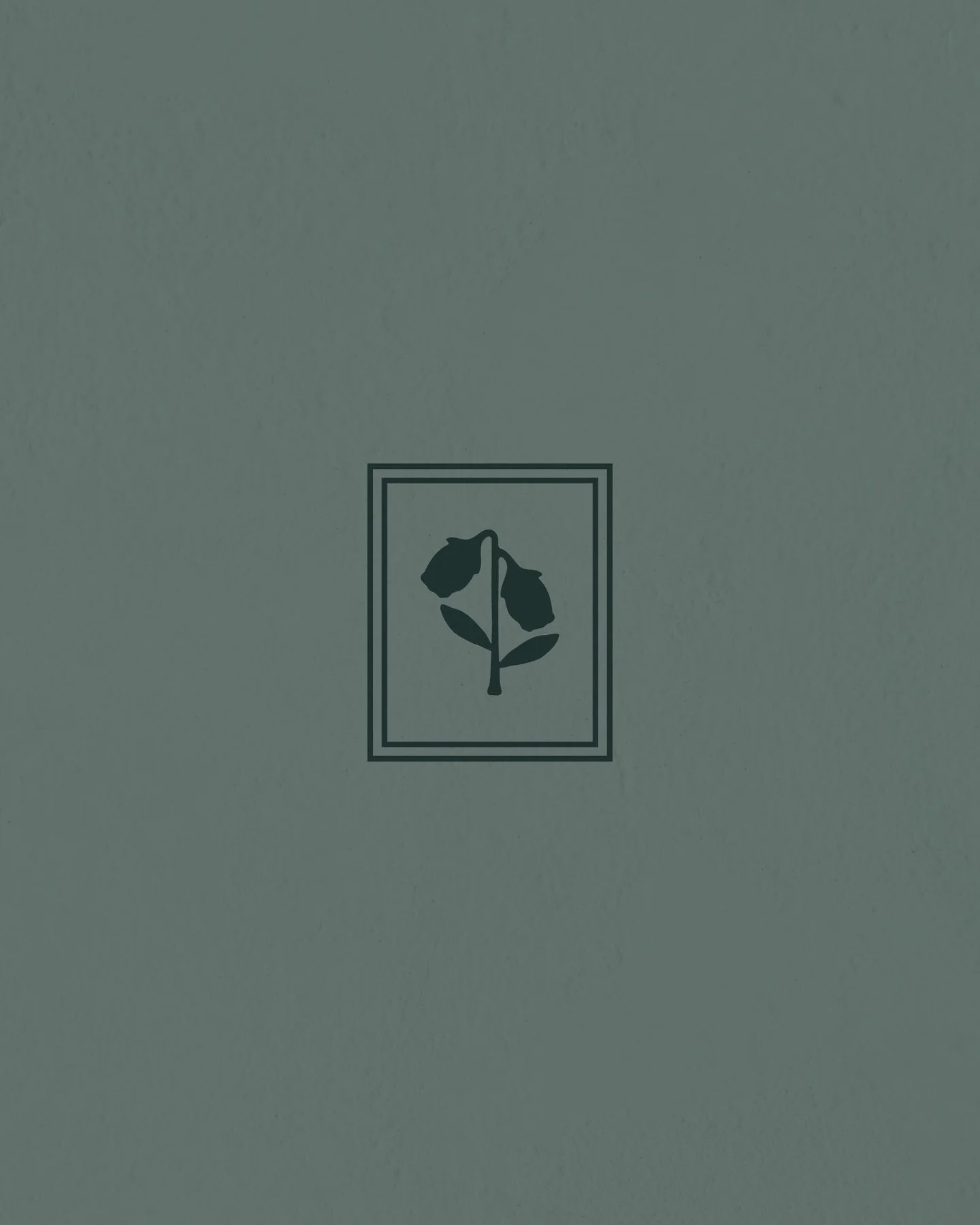 Sneaky peak👀🫐 can&rsquo;t wait to share what @mfa_mainerealtors and I have been cooking up soon!!

&bull;

#mainebranddesigner #maine #realestatebranding #realestate #mainegraphicdesigner