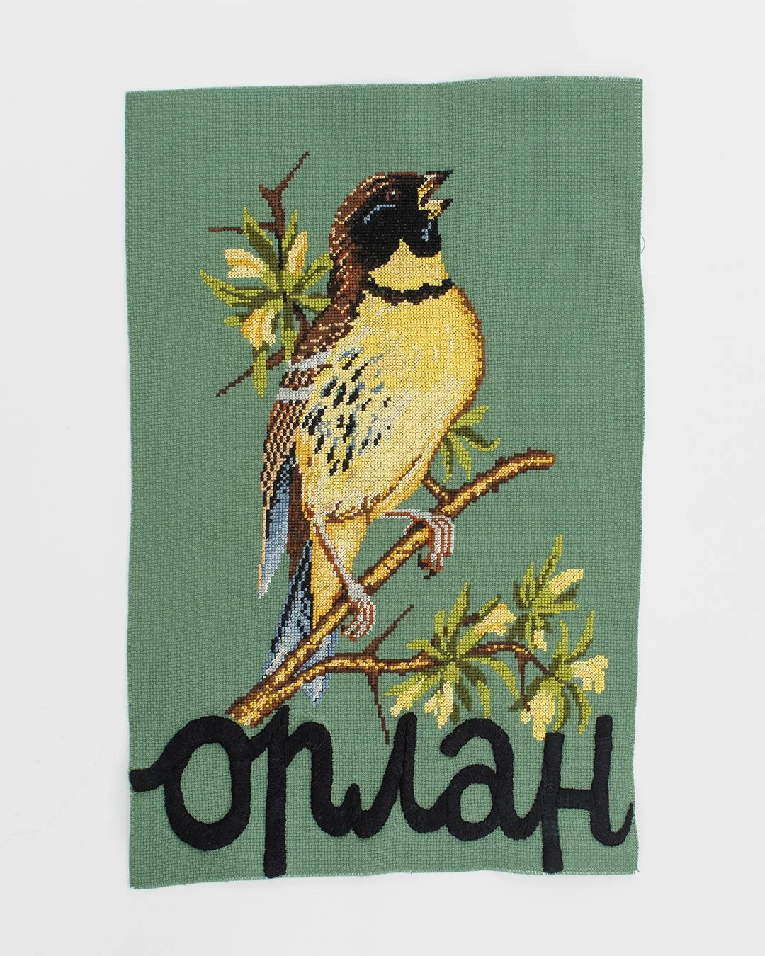 птахи і квіти_6.jpg