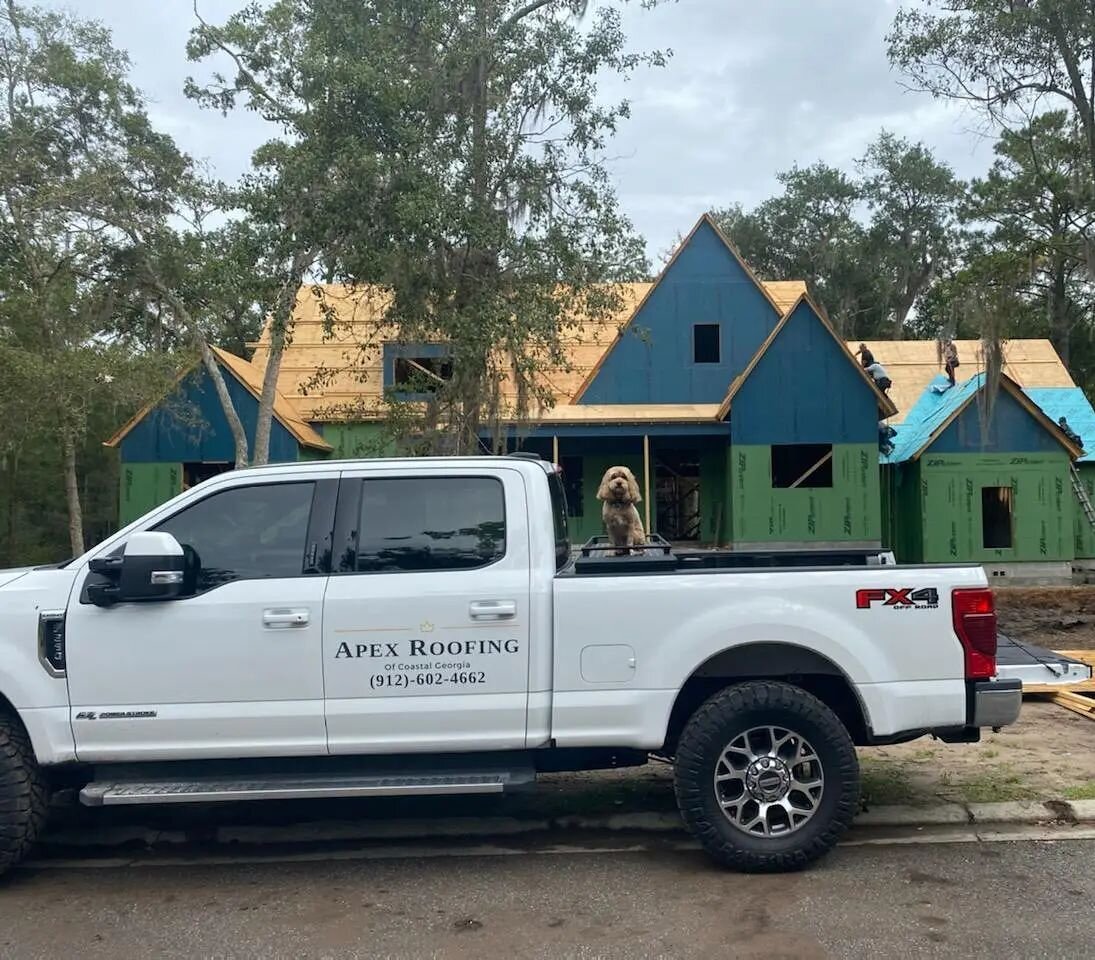 Moose is helping supervise this install today. 

Can't wait to see this gorgeous custom, architect dream home when it is completed.