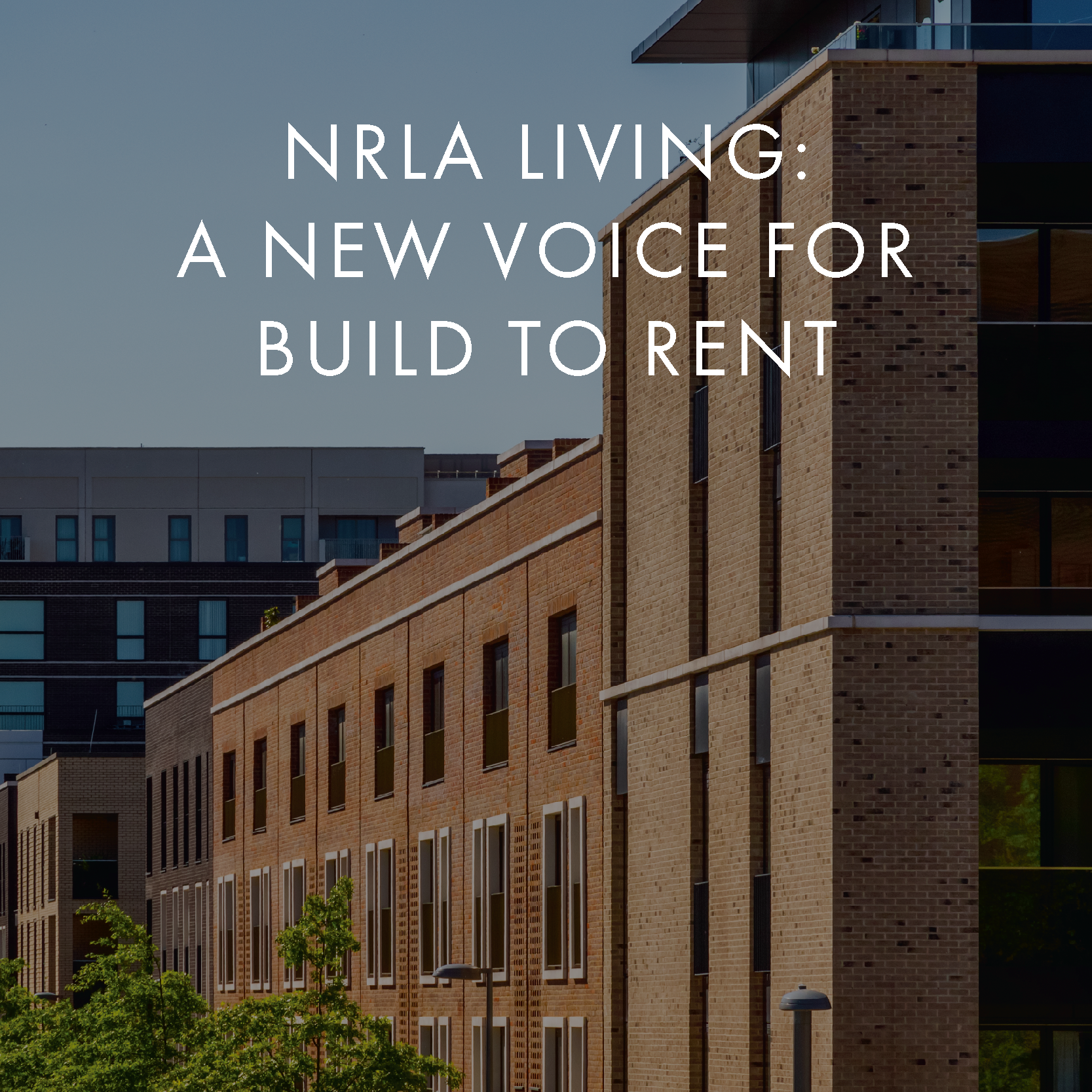 51. NRLA Living.png