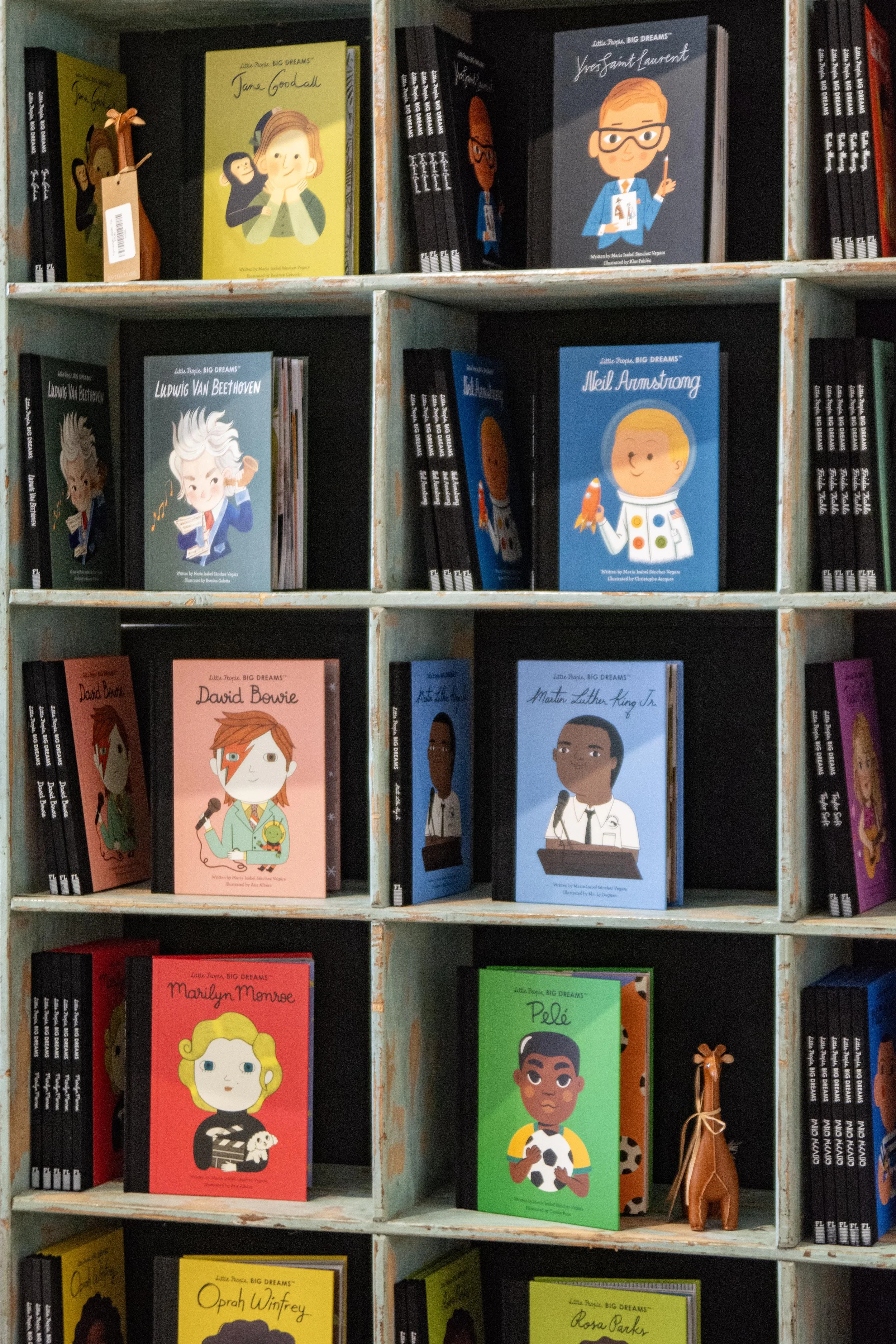 The Little People, Big Dreams series brings the stories of artists, leaders, and changemakers to life through approachable narratives and thoughtfully illustrated pages.