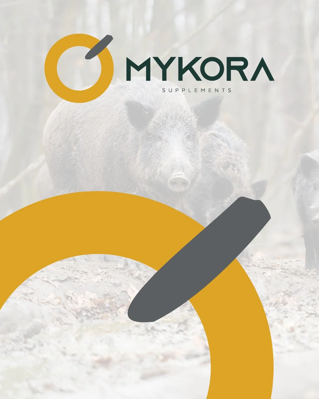 A Mykora nasceu com uma ideia muito clara:
ser forte sem precisar exagerar.

A gente foi cortando tudo que n&atilde;o era essencial at&eacute; chegar no que realmente importava. Foi a&iacute; que o chifre do javali apareceu como o elemento central da