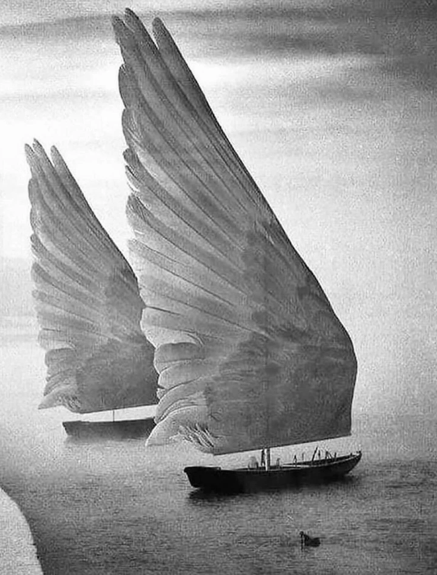 Imagine yourself like a boat with wings 🫶🫶🫶
Sending you all lots of love today 🕊️🕊️🕊️
Beautiful photo @__s____o 
#thesongbirdsociety #sundayfunday😎☀️