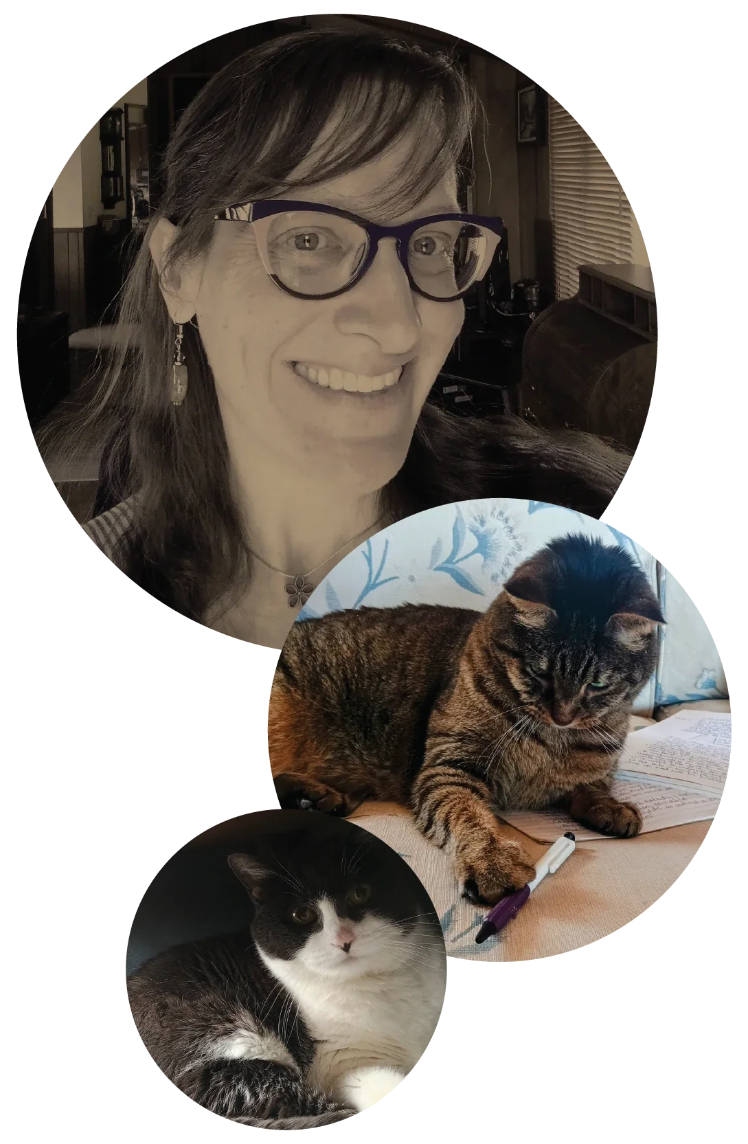 Nimmy, chief copyediting professional at Aspen Root Editing, pictured here with her two cats.