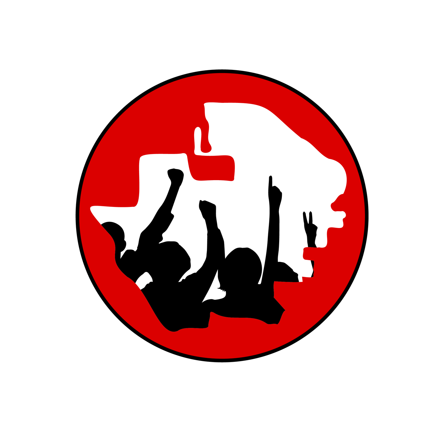 Skyway Coalition