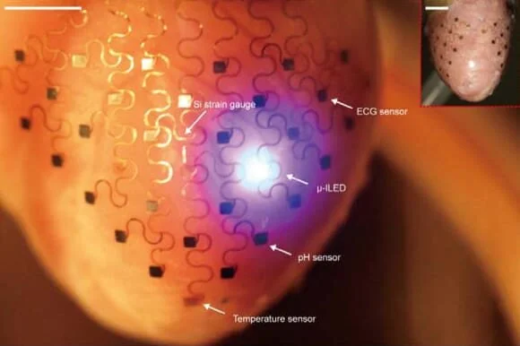 Media Coverage of Our Paper in Nature Communications with John Rogers