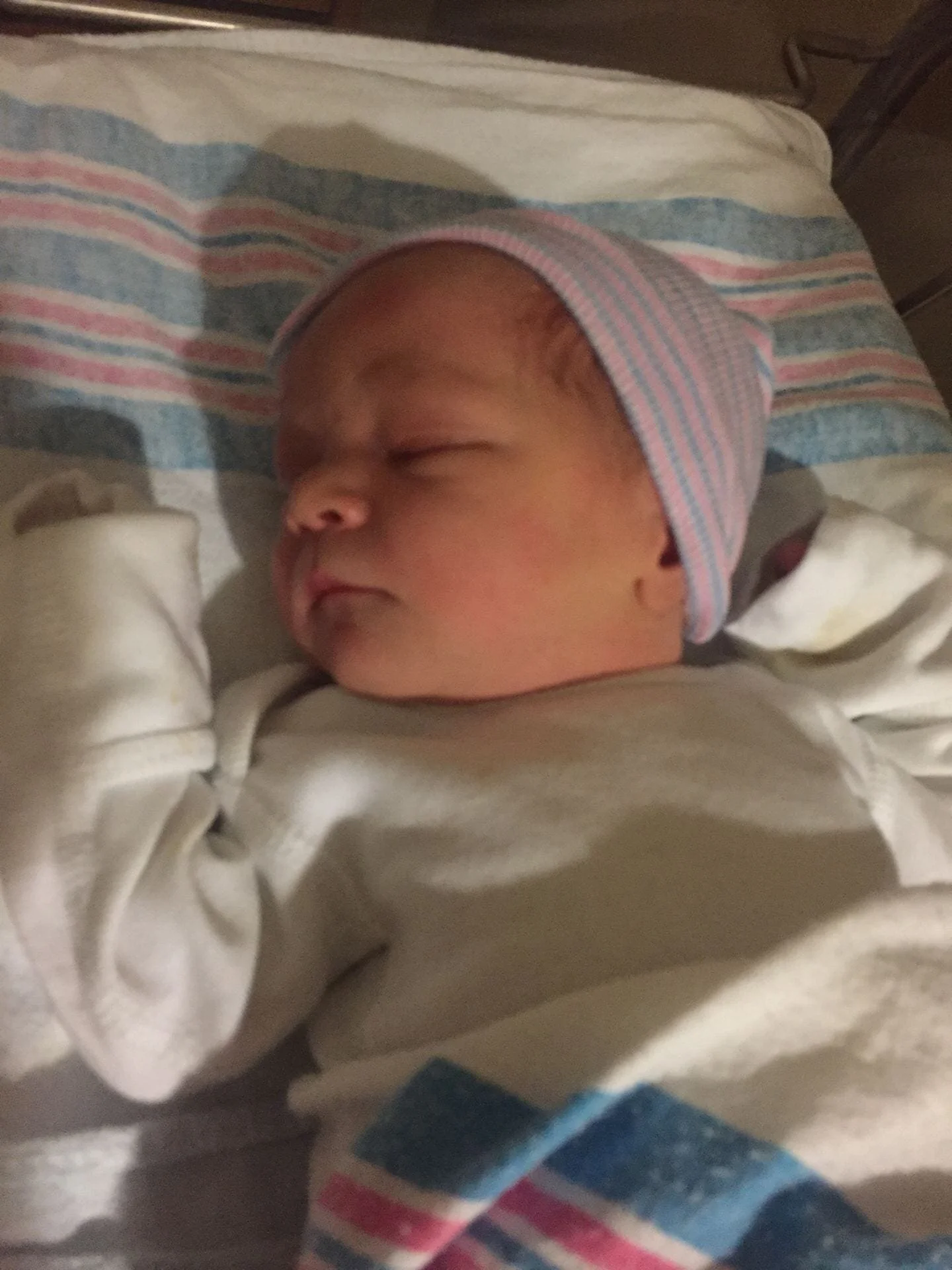 Our Lab Family Grows