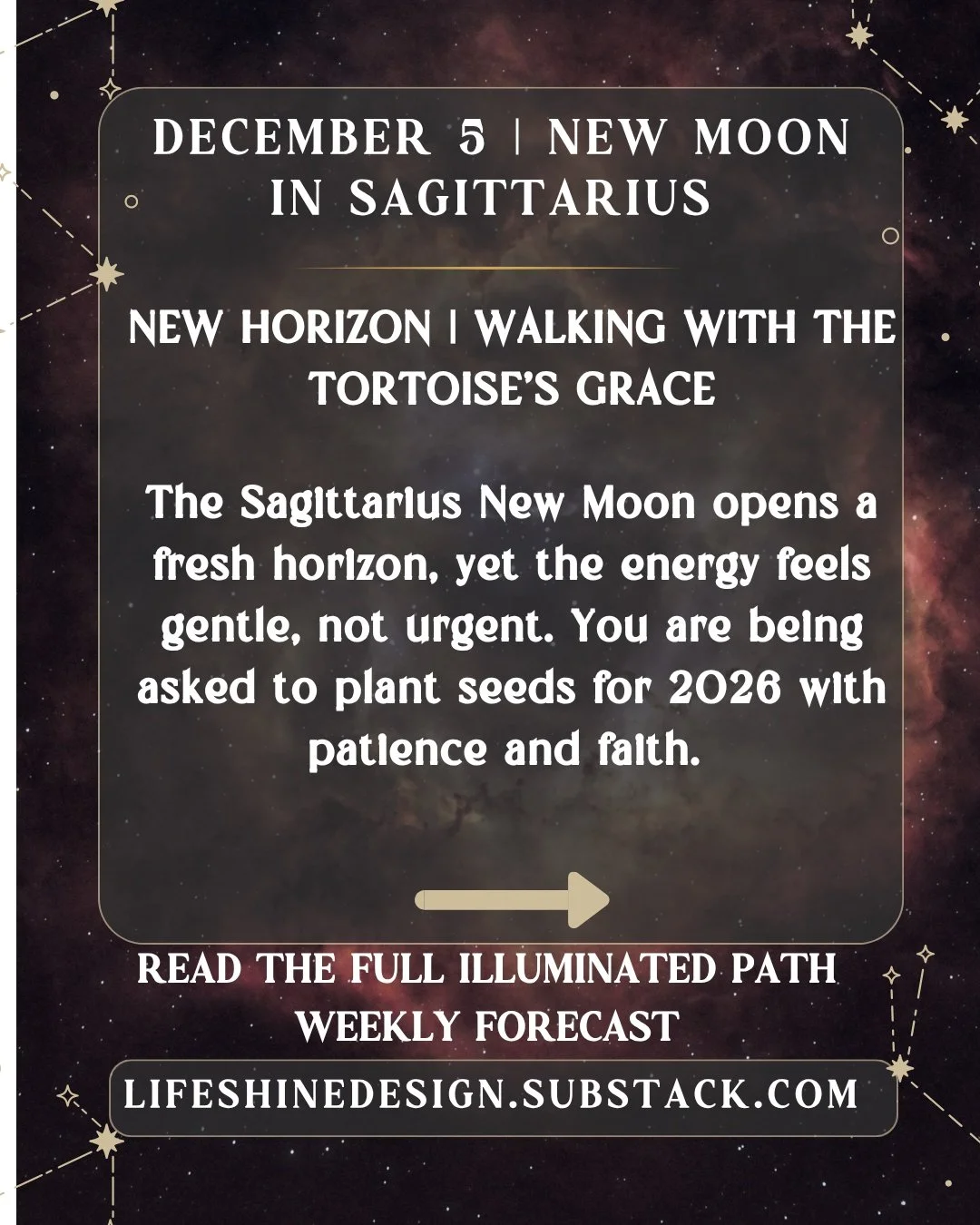 𖤓 Read the full Illuminated Path Weekly Forecast + sensory rituals in my Substack &rarr; link in linktree in my bio