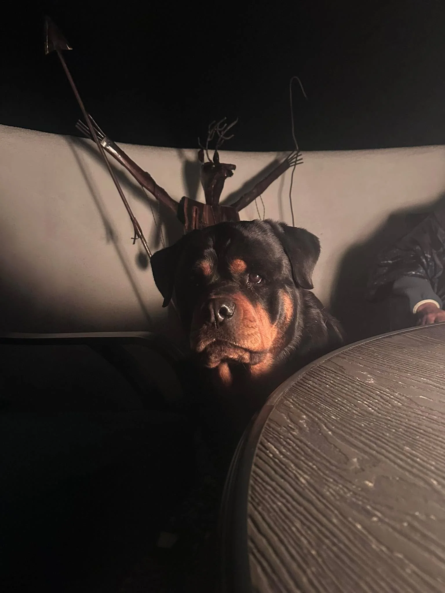 A little Rooster to brighten your night!