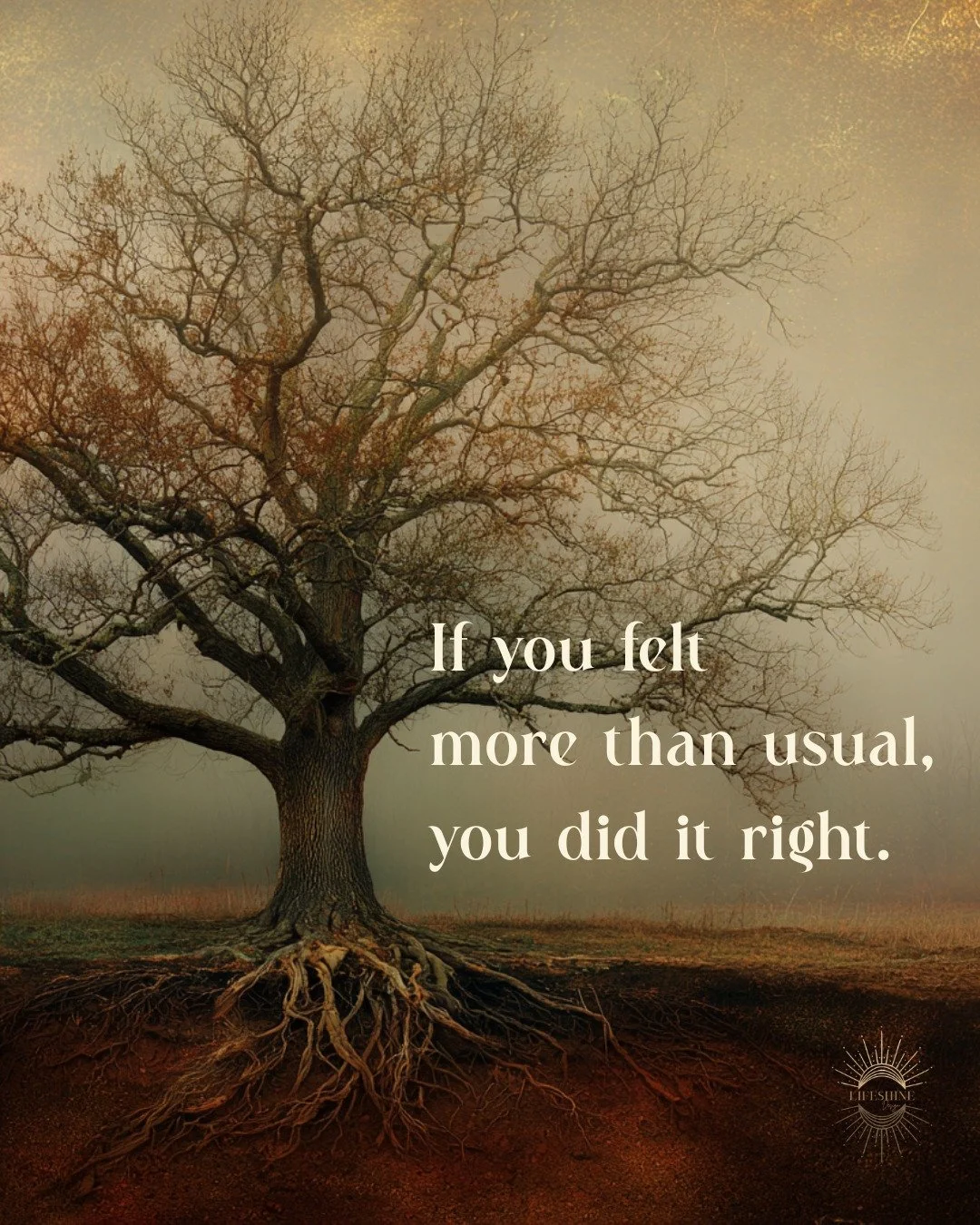 This week asked for sensitivity, listening, and courage.

Not reaction.
Not certainty.

Just presence.

If you noticed where something no longer fits, pay attention - you&rsquo;re being prepared for what&rsquo;s next.

February is a bridge month.
And