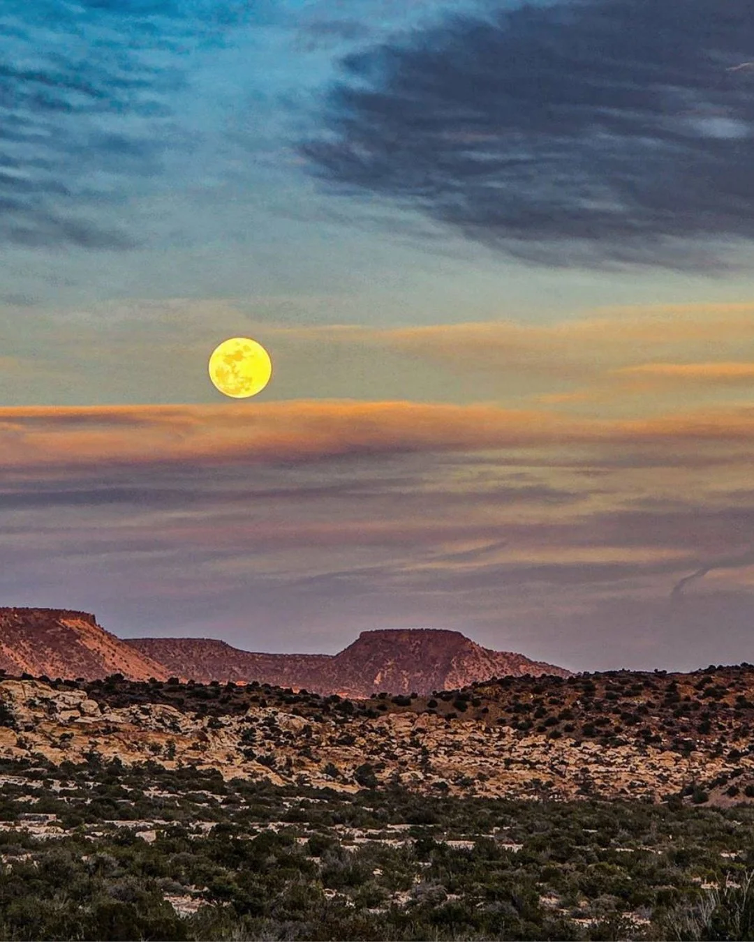 You bought the sketchbooks. You never opened them.

You had a creative life once &mdash; and somewhere along the way, you decided it was indulgent. Irresponsible. Something you'd get back to later.

Later became years.

At 𝗧𝗵𝗲 𝗔𝗿𝘁 𝗼𝗳 𝗕𝗲𝗹𝗼