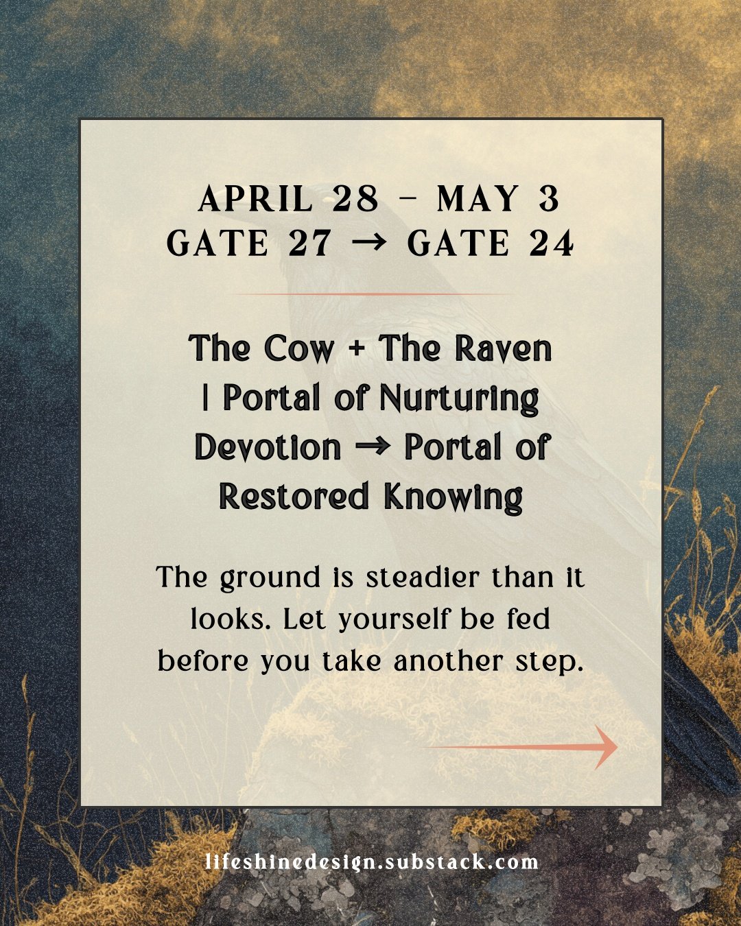 Last week moved through dark water.

If you made it through, you know something now that you didn't know before. Not the version of yourself that functions well when conditions are good &mdash; but the one who kept breathing when they weren't.

The C