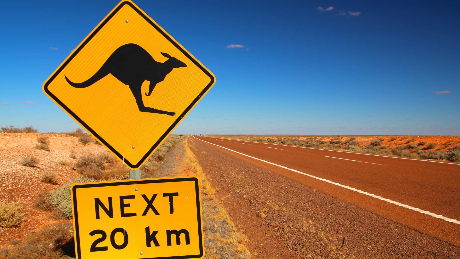 kangaroocrossing.jpeg