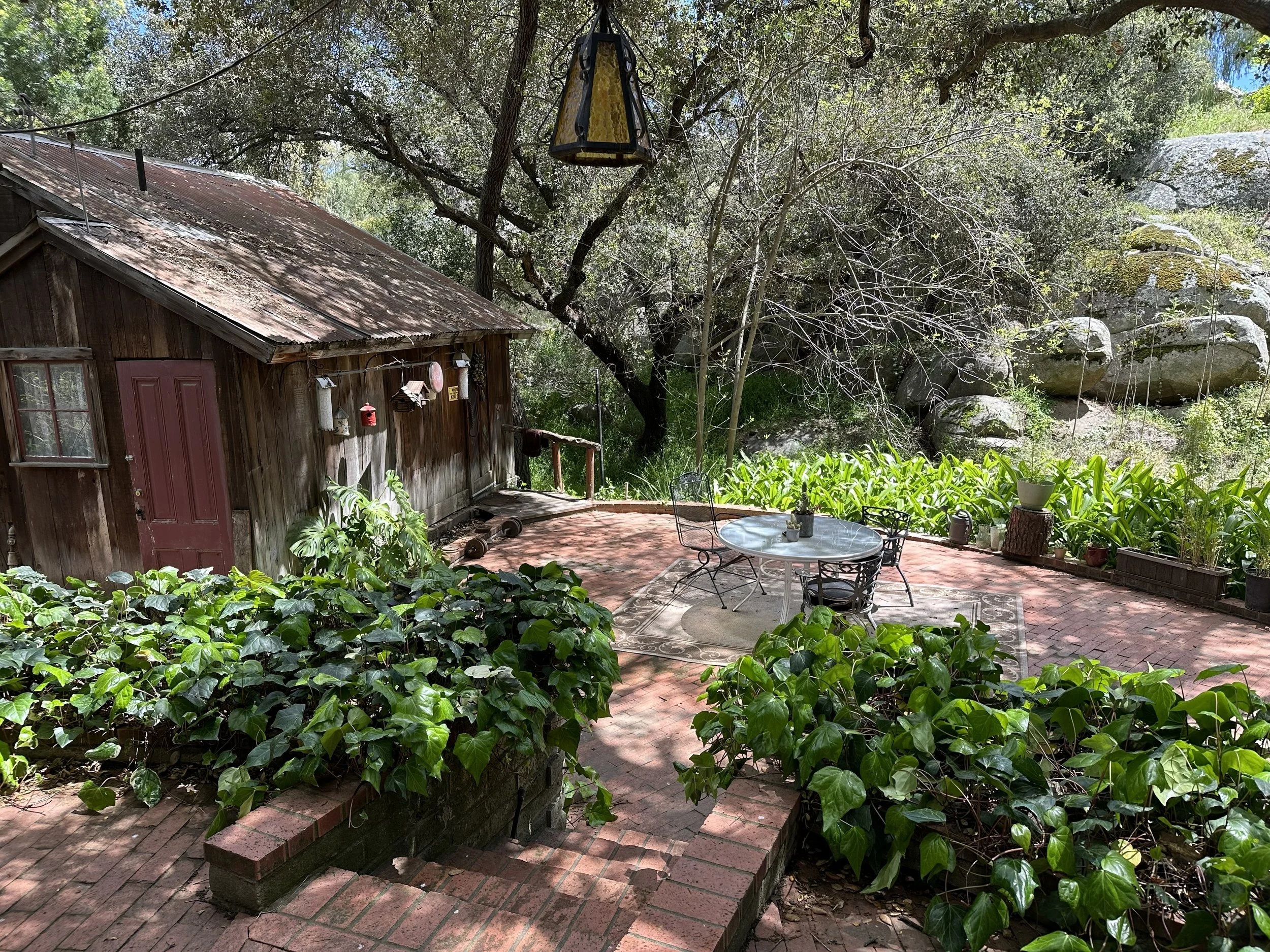 A backyard patio with a round table and chairs on a brick surface, surrounded by lush green plants and shrubs, adjacent to a weathered wooden shed with a rusty roof, and tall trees overhead providing shade.