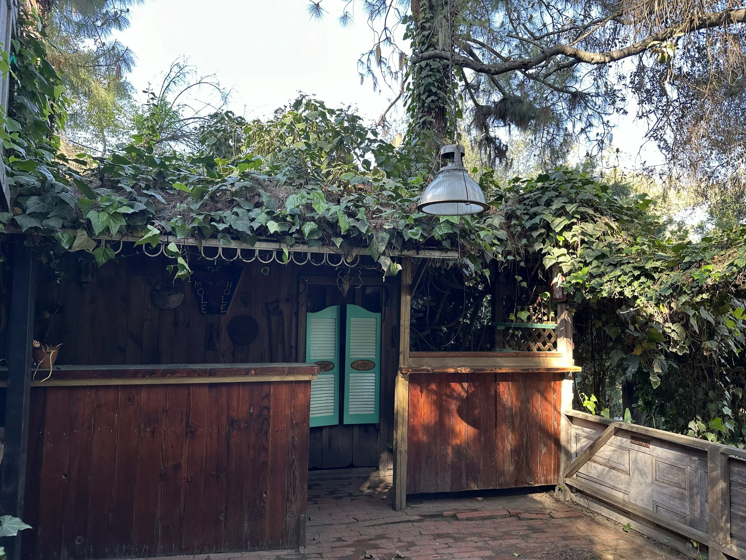 Outdoor scene with a wooden shed partially covered in ivy, a hanging outdoor light, a blue shutters, and a deck area surrounded by trees and foliage.