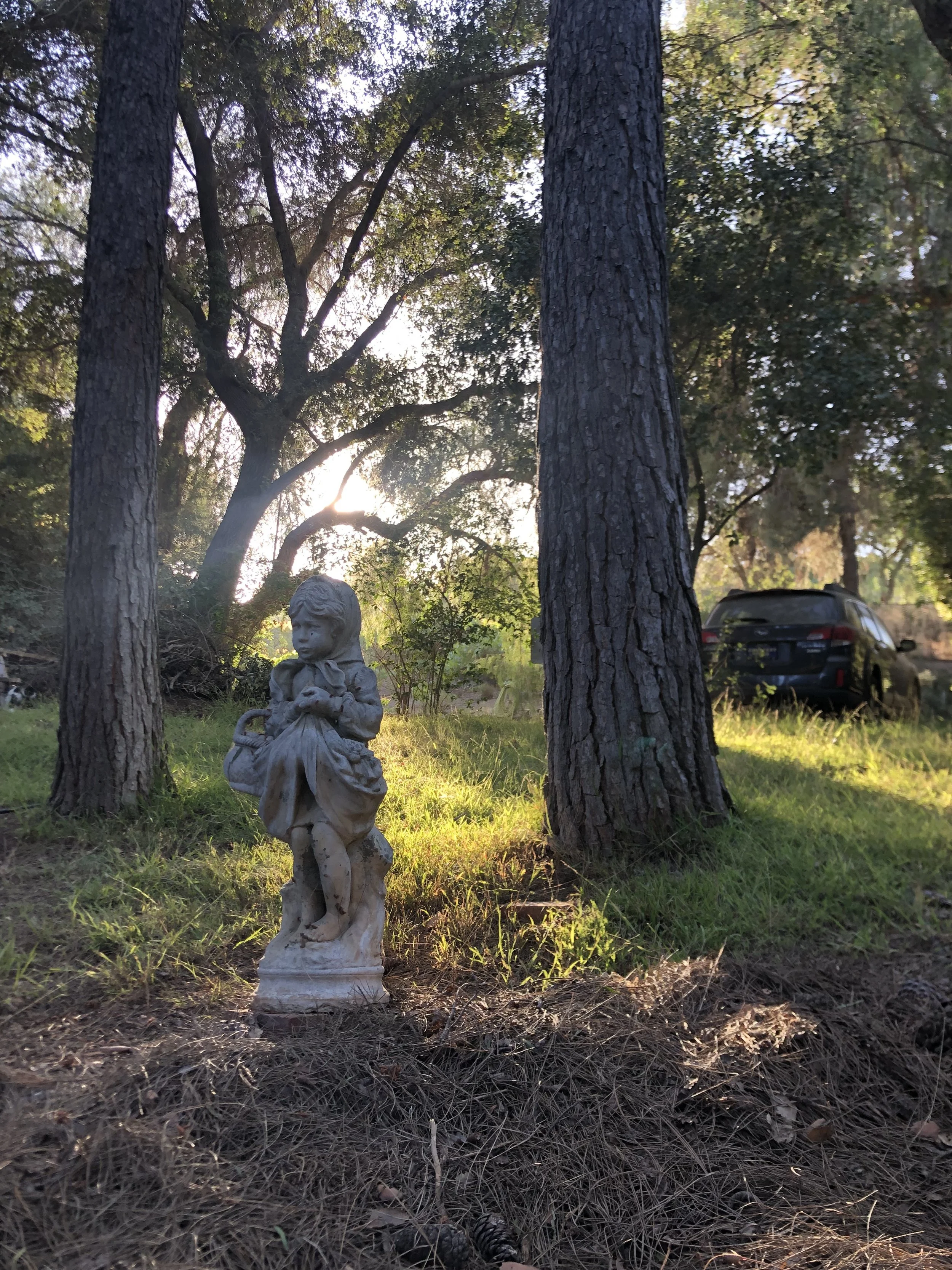 Fairy Sculpture Circle