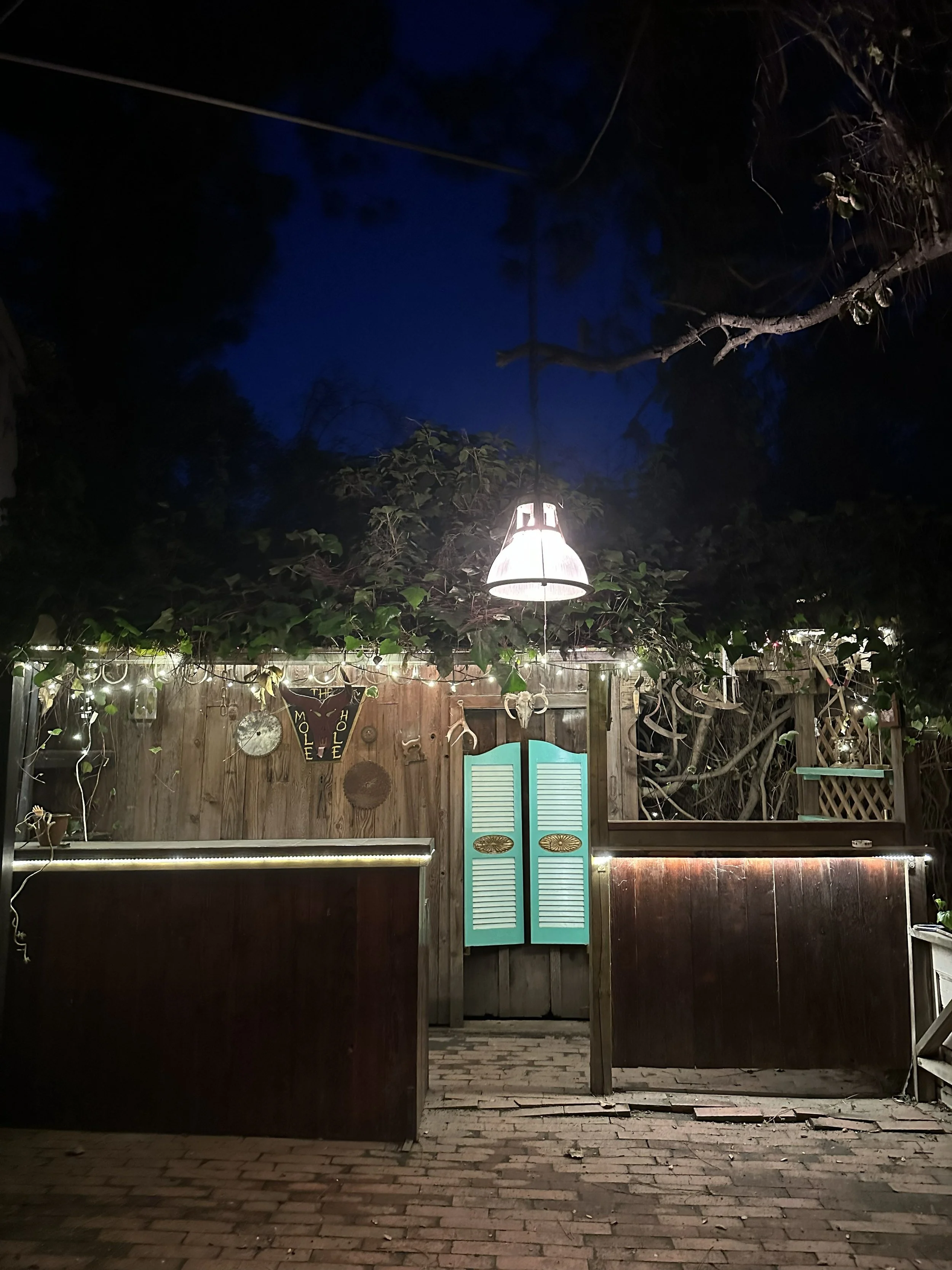 Night view of a backyard with a wooden fence, hanging lights, a turquoise window shutter, and a sign reading 'The Wolf Hole', surrounded by plants and trees.