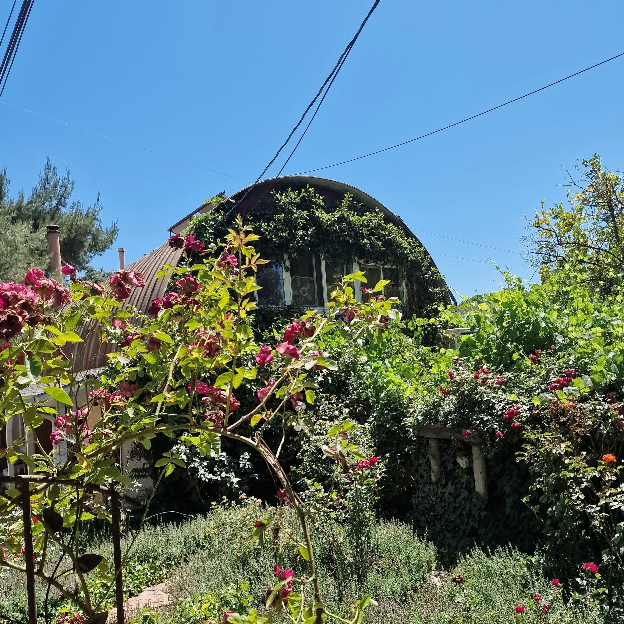 Rose Garden