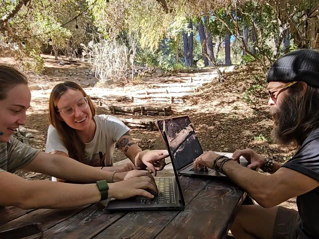 Coworking at Grandmother Tree