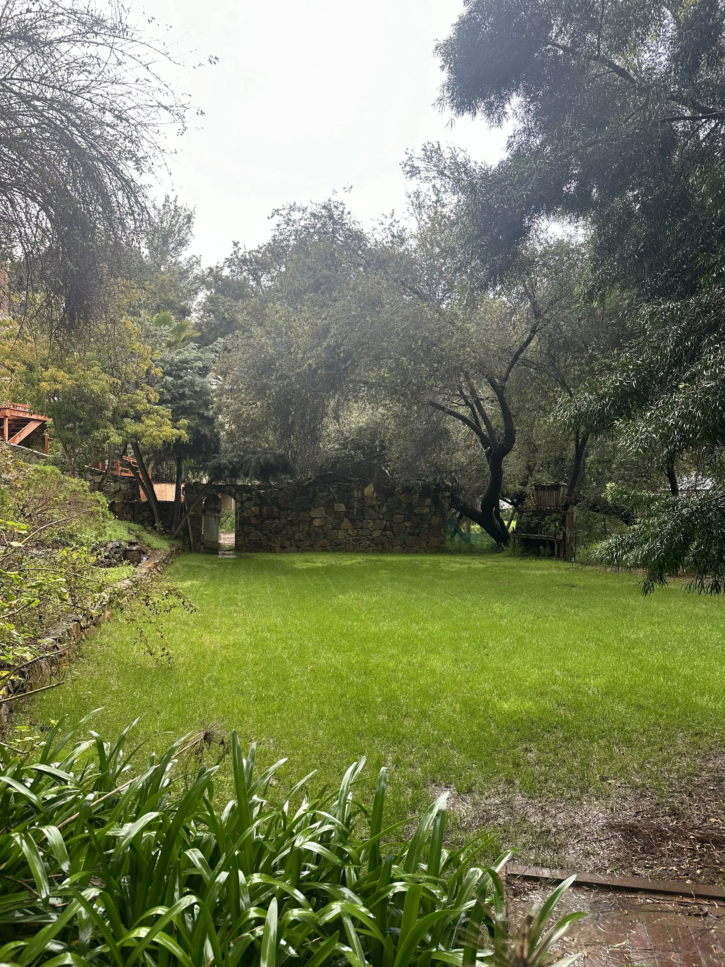 A lush green backyard with a grassy lawn, surrounded by trees and shrubs, with a stone wall and a small patio area with a chair in the background.