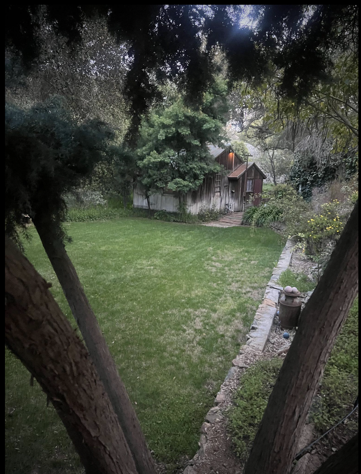 A backyard garden with a green lawn, trees, bushes, and a wooden shed. The photo is taken through the branches of a tree, framing the view.