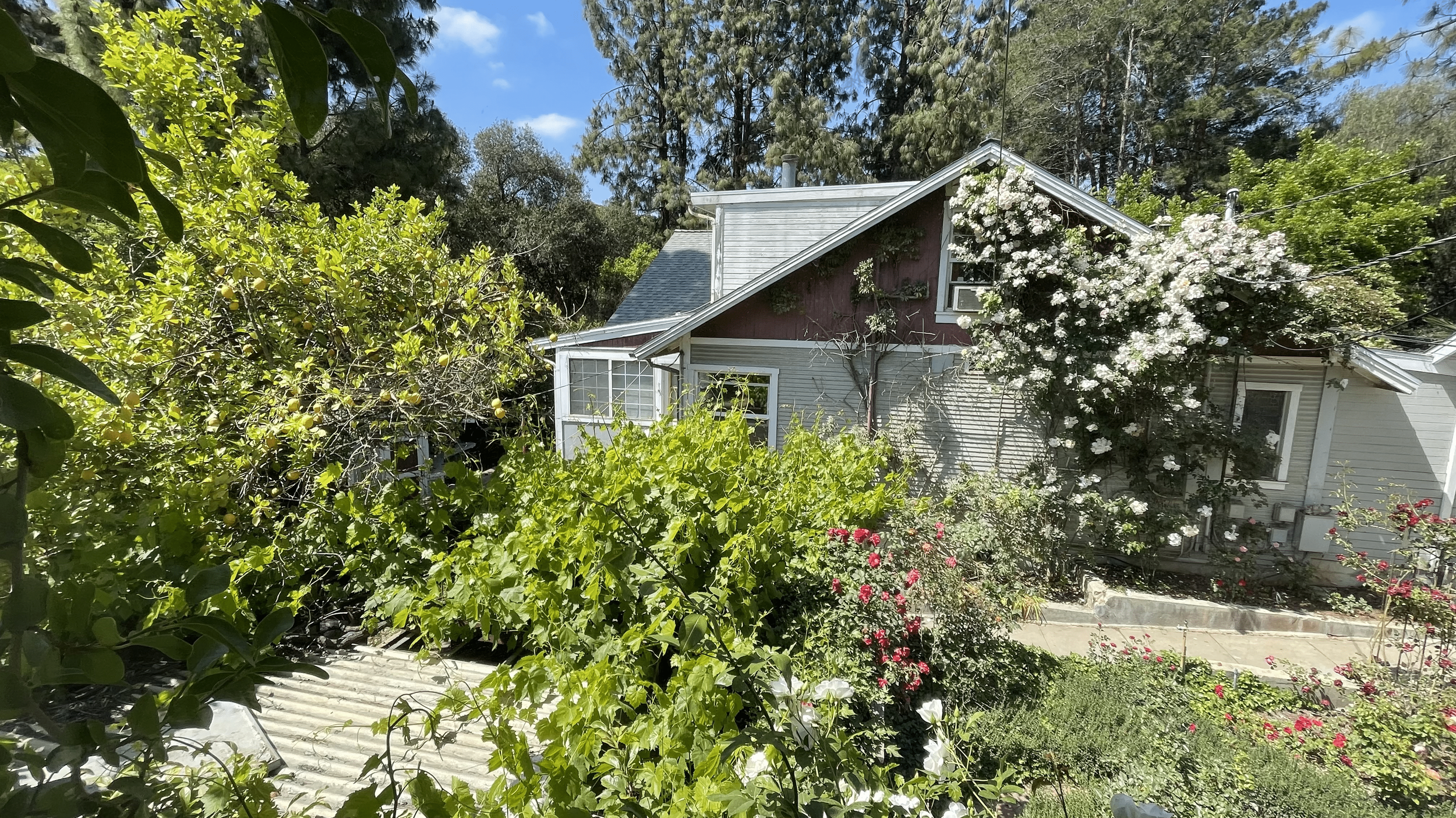 Side View of Main House