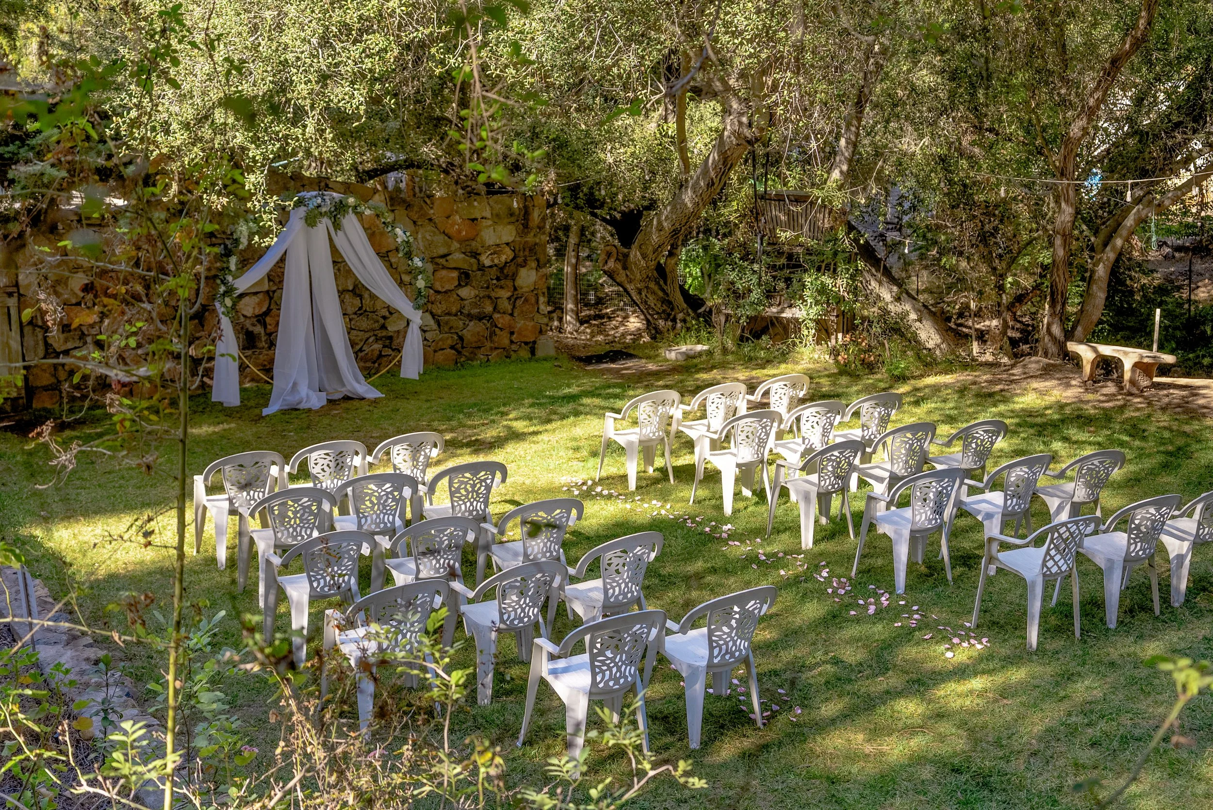 Outdoor wedding ceremony setup with white chairs arranged on a grassy area, a white draped arch decorated with flowers, surrounded by trees and greenery in a natural garden setting. Microweddings at Wild Seeds Ranch.