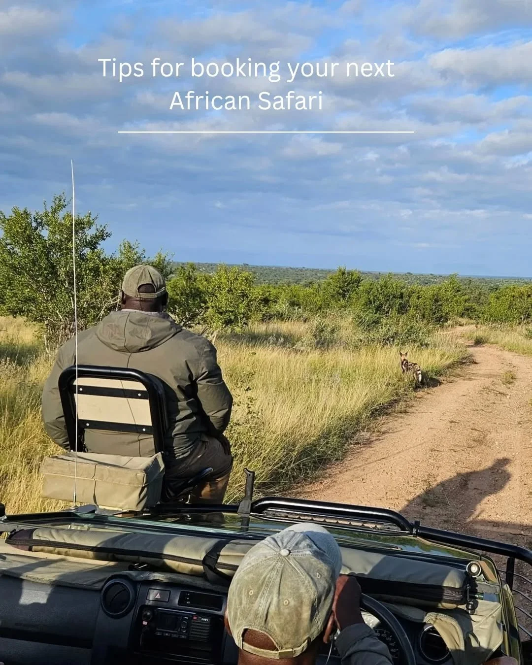 Booking a safari? Don’t just choose a lodge—curate an experience.
 At DNA Wild, we believe luxury is in the details: 
✨ Private guides who know when to wait and when to whisper 
🥂 Champagne breakfasts in the bush, not just at the lodge