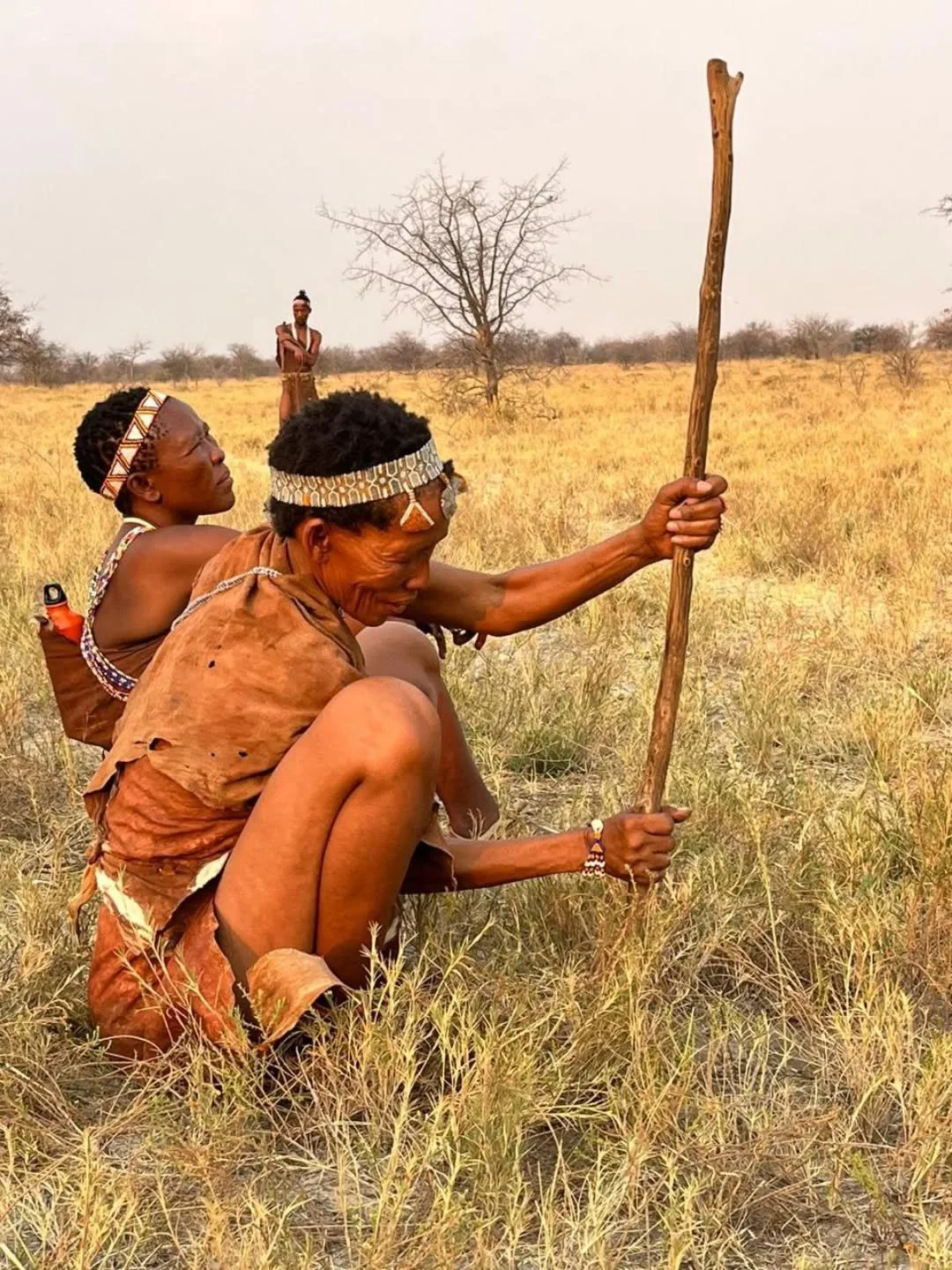 The San people, often called the world’s first storytellers, carry knowledge of the land that stretches back thousands of years. 
Every gesture, every bead, every step through the Kalahari is a reminder of how deeply connected we can be to nat