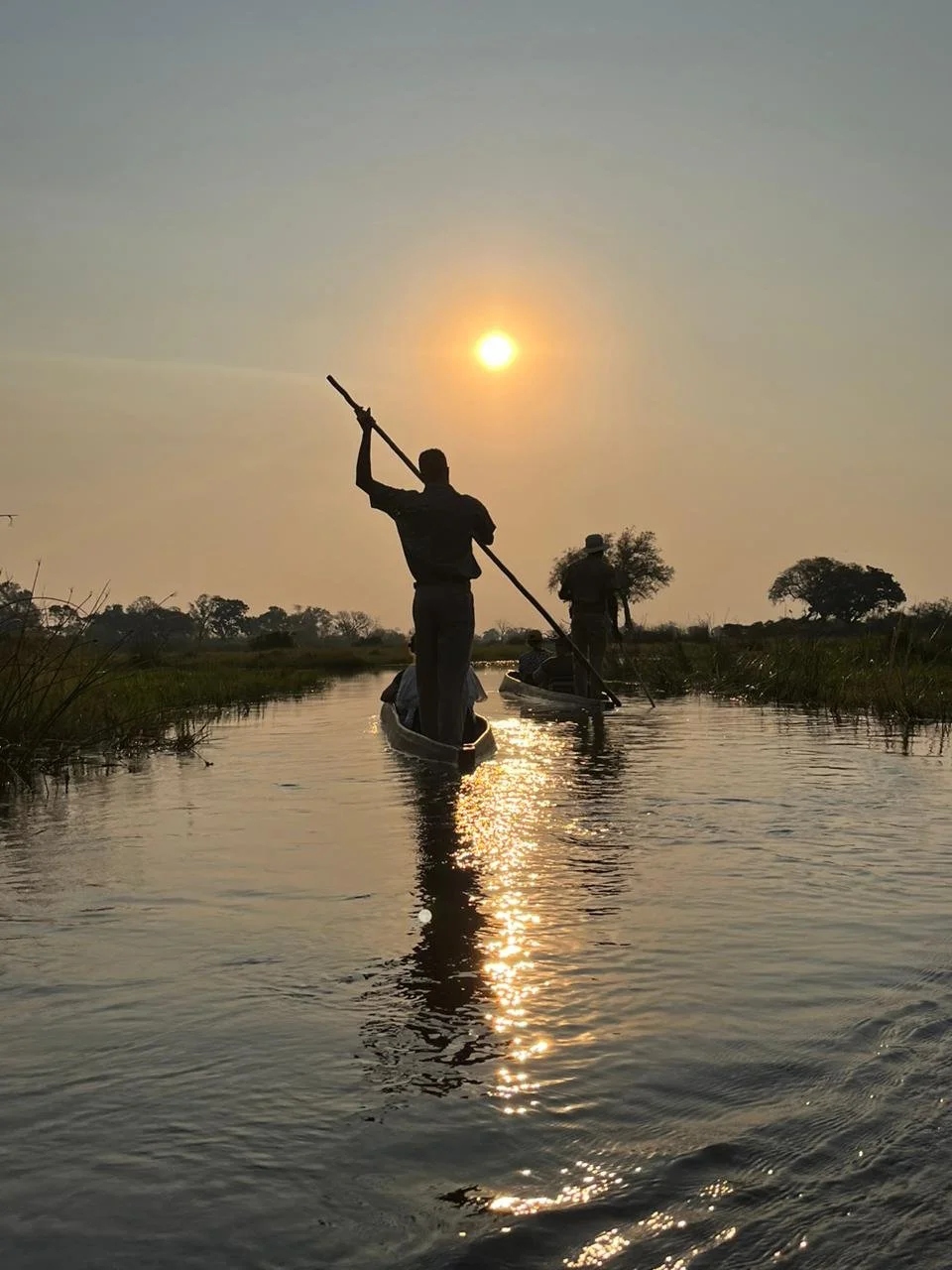 Why Discerning Adventurers Choose Expert Travel Agents — And Why DNA Wild Leads the Way