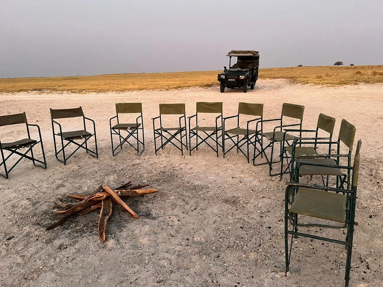 Why the Best Safari Experience Costs More — and Why It’s Worth It