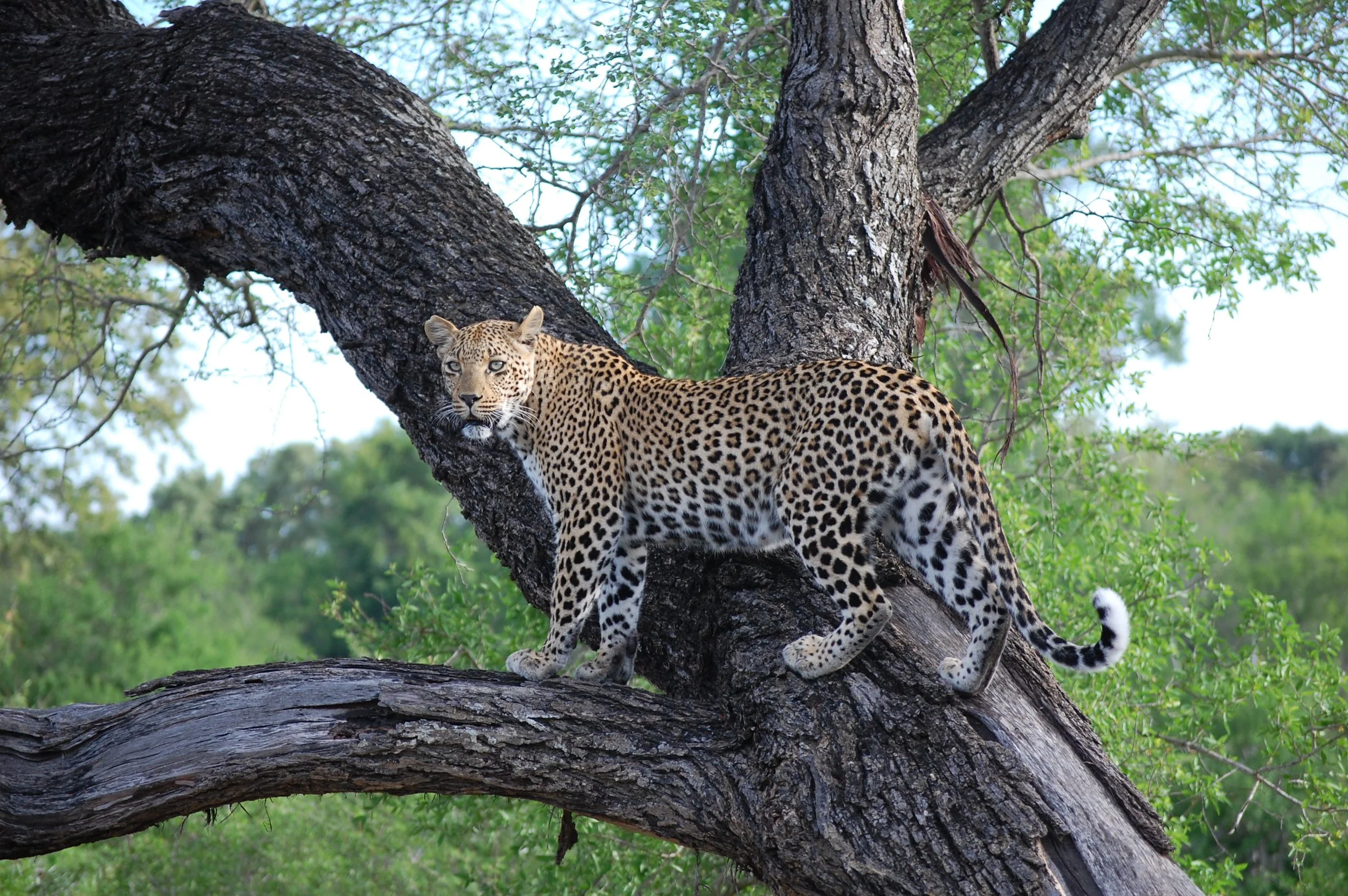 Why Africa Is the Perfect Winter Sun Destination to Escape the Cold