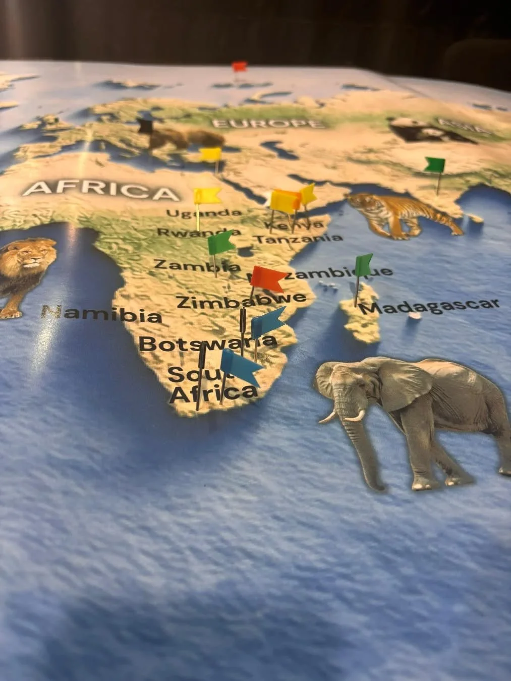 Every great journey begins with a single mark on the map 🌍

Refined destinations.
Exceptional stays. 
Effortless discovery with DNA Wild.

Where to next?

#DNAWildTravel #LuxuryAdventures #luxurysafari #africansafari