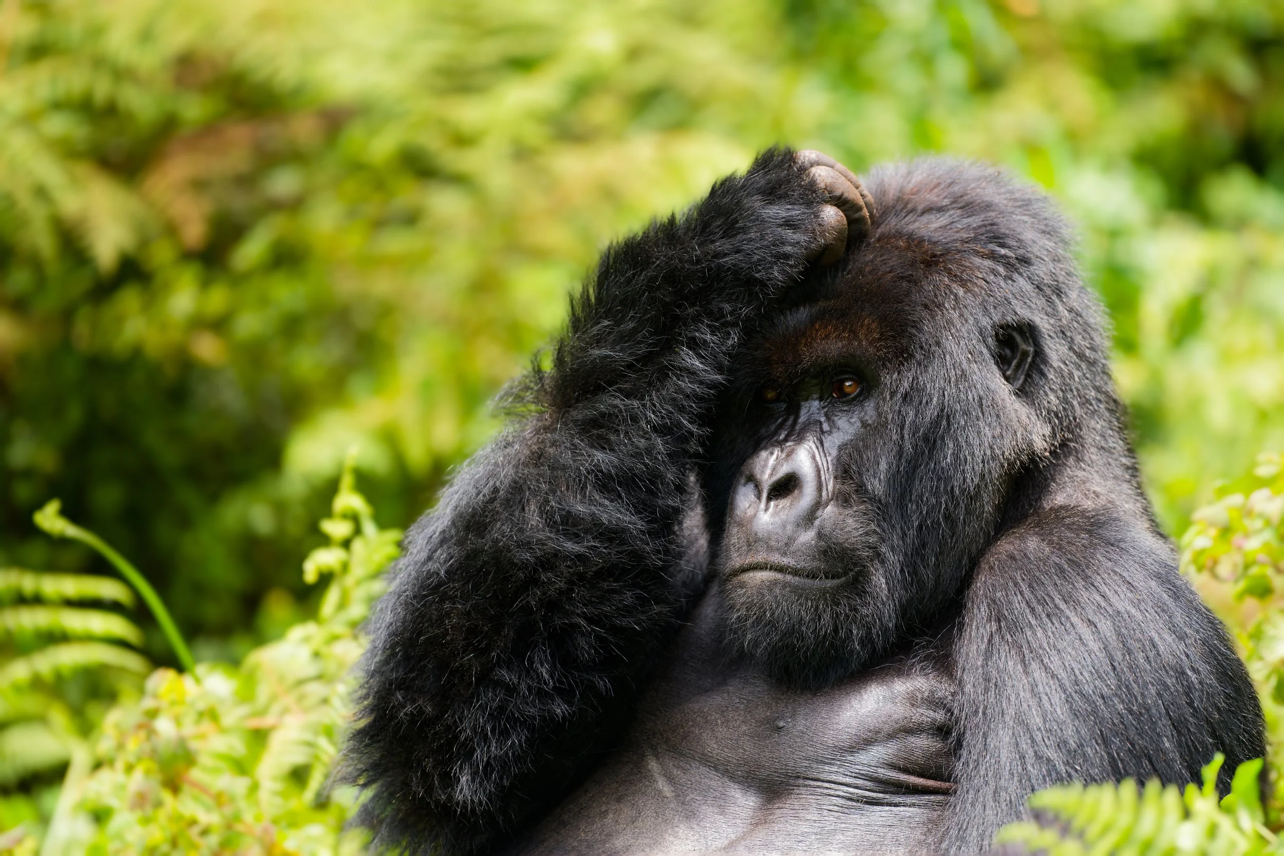 Why Fewer Destinations Create Better Memories: The New Definition of Luxury Travel