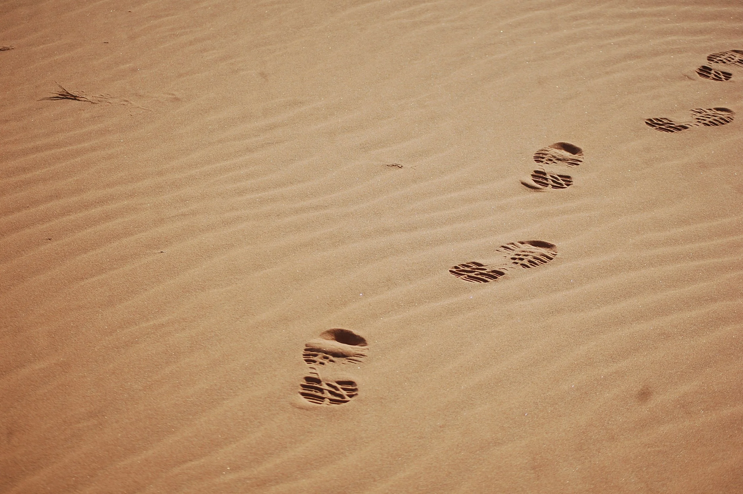 How Many Days Do You Need for an African Safari?